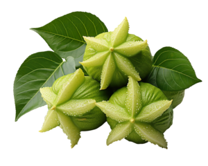 Star-Shaped Green Fruits with Leaves on a Transparent Background
