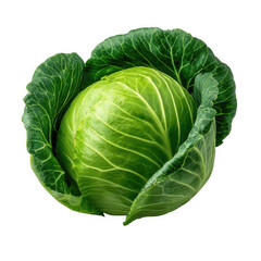 Fototapeta premium Fresh green cabbage isolated on transparent background