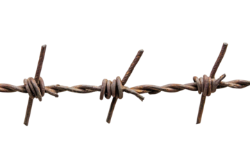 Close up of rusty barbed wire fence isolated on transparent background