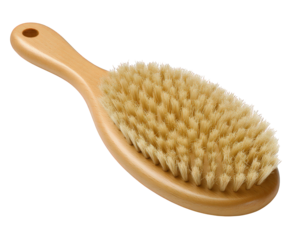 Wooden pet grooming brush, natural bristle, double sided, used for cat or dog fur care, comfortable handle, isolated on transparency background, essential pet care tool
