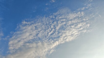 airplane in the sky
