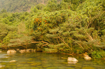 Bank of the Chay River. Mooc Spring. Phong Nha-Ke Bang National Park. Quang Binh Province. Vietnam.