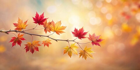 Autumnal Branch with Vivid Red and Gold Leaves Basking in Soft Sunlight