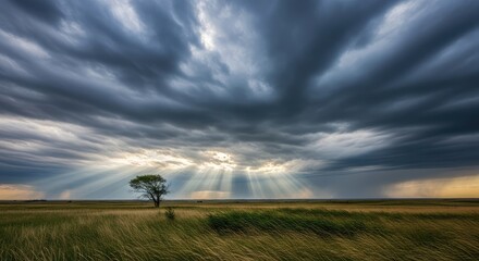 Dramatic Sky with Sun Rays over Lone Tree in Vast Green Field