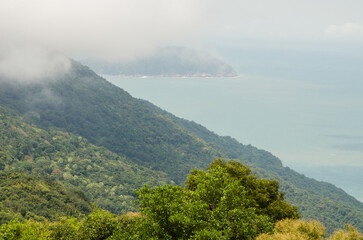 Son Tra Natural Reserve. Son Tra  Peninsula. Da Nang. Vietnam.
