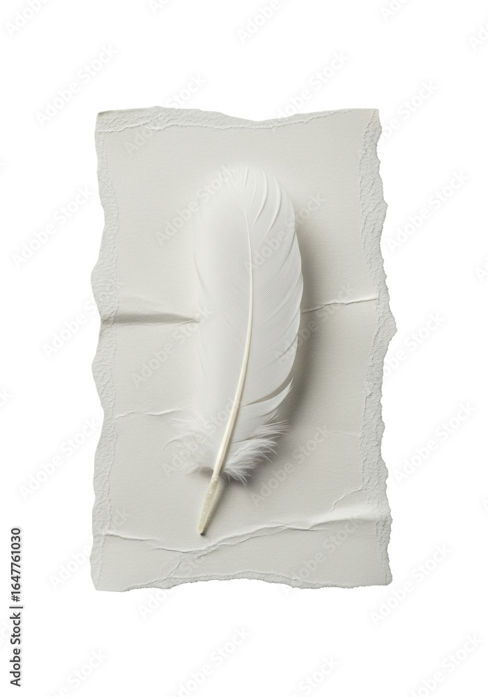 Poster transparent feather with delicate down rests on torn, aged parchment paper, creating contrast on a t