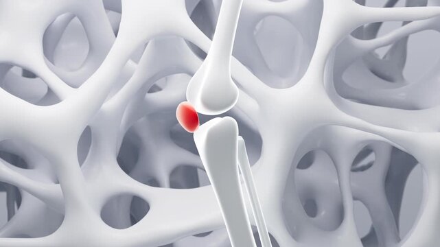Human joint bones and porous skeletal framework background, 3d rendering.
