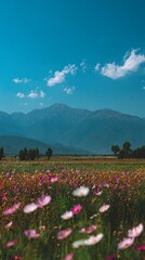 Awesome photo of  colorful flower field with mountains in the background under a bright blue sky during daytime.