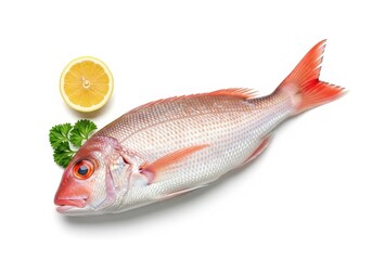 Whole Fresh Red Snapper Fish with Lemon Slice and Parsley Garnish seafood