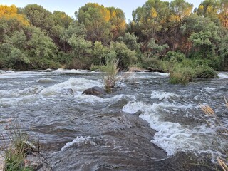 2025-07 - Río Jándula - Sierra Morena