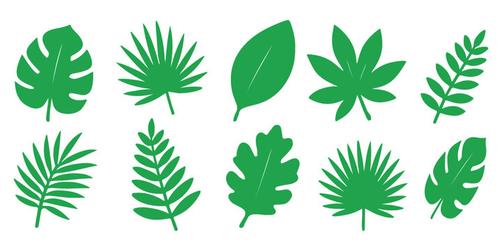 Leaf icon. Two stylized green leaves representing nature and freshness vector illustration. Eco-friendly growth and organic symbol. Sustainability and environmental sign. Natural pictogram.