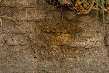 damage due to moisture problems in walls