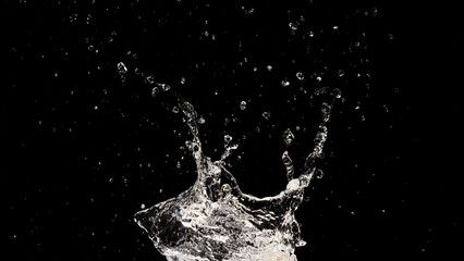 Water Splash on Black: A mesmerizing water splash erupts with dynamic energy against a dark, elegant backdrop, capturing the beauty of water droplets.