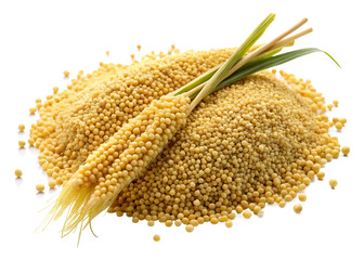 Millet (Foxtail) seeds isolated on white background png