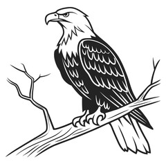 Illustration of an eagle perched on a branch isolated on white background