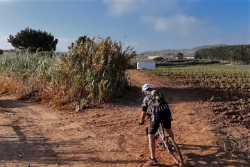 Mountain biker in the countryside