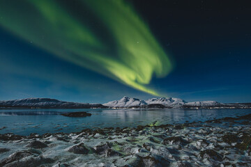 Aurora Borealis glows above Norway Malangen Fjord in Troms, painting the starry night with green...