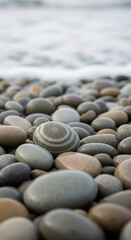 Close-up of Smooth Pebbles on a Beach Shoreline