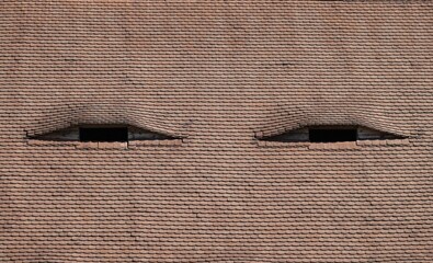 House roof with windows resembling eyes