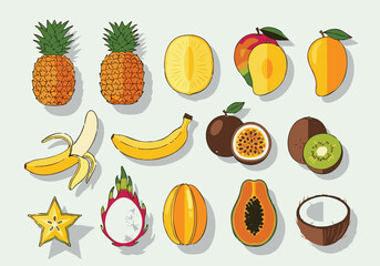 Exotic Tropical Fruits Flat Design Still Life Featuring Pineapple Mango Papaya and More Delicious Sweet Treats