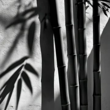 Gobo texture shadows tall bamboo silhouette with leaf details