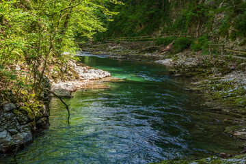 The beautiful Vintgar Gorge near Bled in Slovenia, Europe