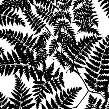 Gobo texture shadows tropical fern leaf silhouette pattern