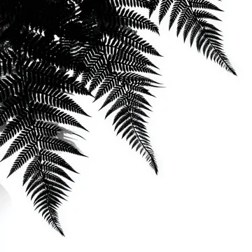 Gobo texture shadows detailed frond shapes in stark contrast
