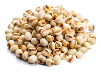 Job’s tears seeds isolated on white background png