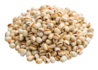 Job’s tears seeds isolated on white background png