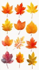 Colorful display of autumn leaves showcasing vibrant hues in a natural setting