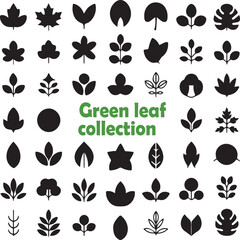 Leaf icons set ecology nature element, green leaf's, environment and nature eco sign. Leaves on white background 