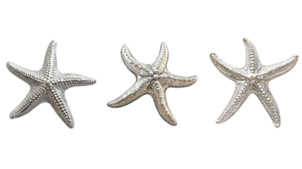 Ornate silver starfish set isolated on transparent background