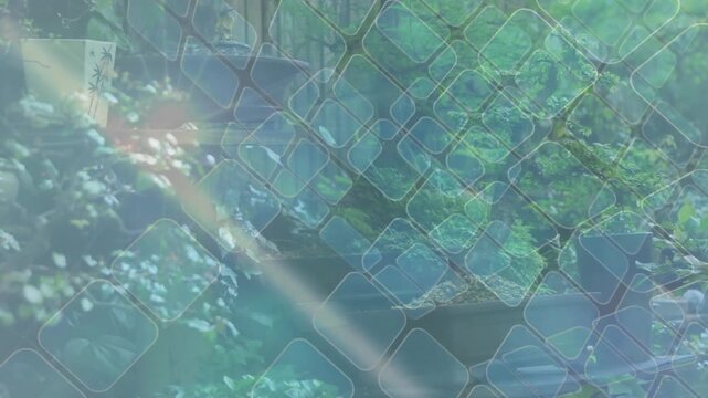 Diamond grid shifting and rotating over mesh fence, causing sunlight flare revealing bonsai