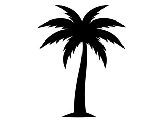 Palm tree black silhouette  vector icon
