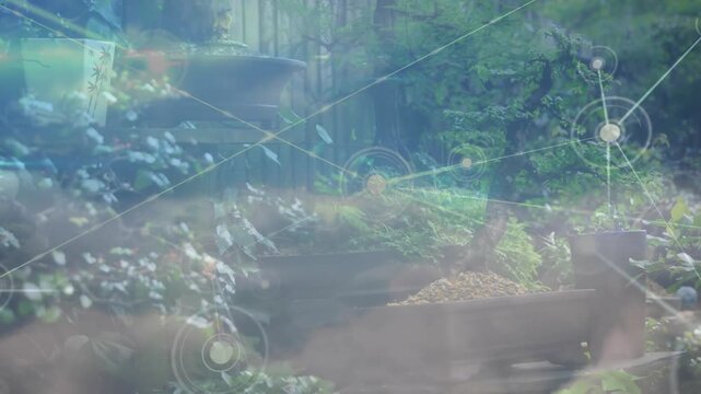 Garden initiating nodes over fountain spawning glowing lines weaving holographic network overlay