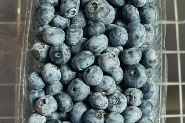 Fresh blueberries in boxes. Organic blueberries in bulk, a vibrant display of summer's natural sweetness. A visual journey through the richness of fresh blueberries.