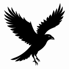 eagle vector illustration