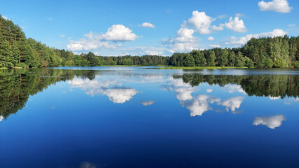 Calm reflections on a serene lake surrounded by lush trees under a bright blue sky