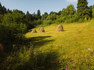 A peaceful rural scene featuring haystacks in a lush green field with wildflowers, a rustic wooden...