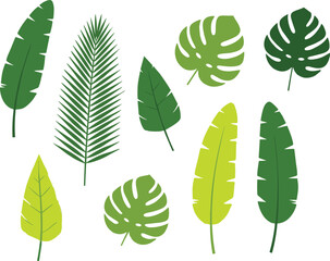 Set of Ten Green Leaves with Varied Shapes and Textures, Botanical Illustration