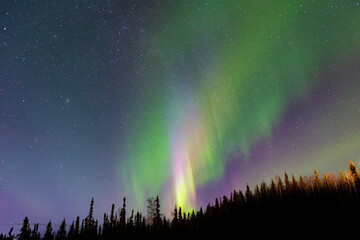 An aurora is a natural light display in Earth's sky. aurorae, auroras. northern lights (aurora borealis), southern lights (aurora australis). Chena Hot Springs Road, Fairbanks, Alaska March