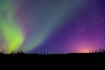 An aurora is a natural light display in Earth's sky. aurorae, auroras. northern lights (aurora borealis), southern lights (aurora australis). Chena Hot Springs Road, Fairbanks, Alaska March