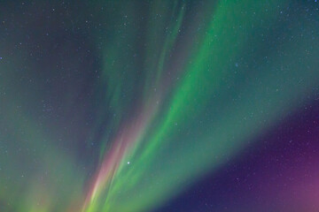 An aurora is a natural light display in Earth's sky. aurorae, auroras. northern lights (aurora borealis), southern lights (aurora australis). Chena Hot Springs Road, Fairbanks, Alaska March