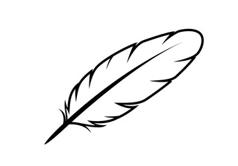 Vector of a minimalist indigenous feather