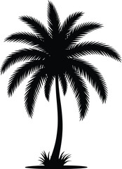 Tropical palm tree silhouette nature plant