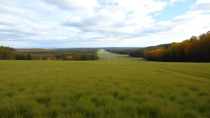 Obraz premium Aerial view of a vast green field with trees and a cloudy sky in the distance on a sunny day
