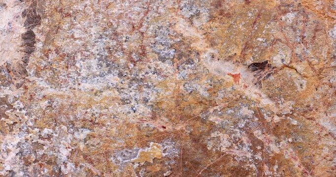 Macro brown tones on white blotched weathered rock in slider movement