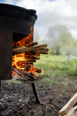 Cooking Over an Open Fire With Flames and Logs in a Natural Outdoor Setting During Daytime
