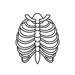 Minimalist Front View Line Drawing of Human Ribcage with Sternum, Ribs, and Spine in Black and White Outline Style